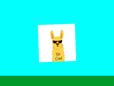 Llama´s are cool