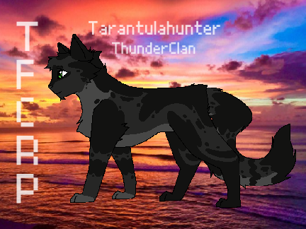 ★ Tarantulahunter Reference + Bio ★