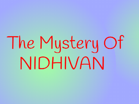 The Mystery Of Nidhivan remix