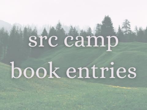 camp book entries!