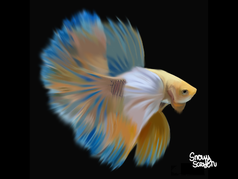 Fish?