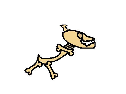 Fossils In A Nutshell