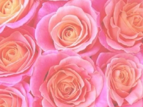 ✿