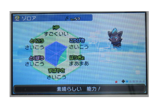今現在の色違いたち。