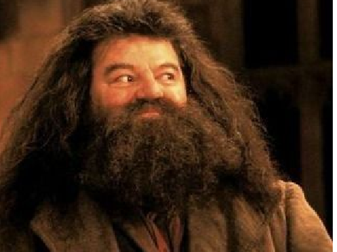 Talk to Hagrid!