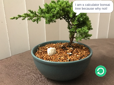 $20 or 20%? (School Project)