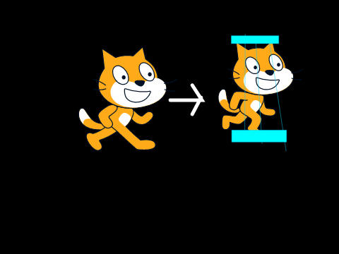 cat multiplier