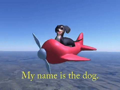 THE DOGGO OF WISDOM!