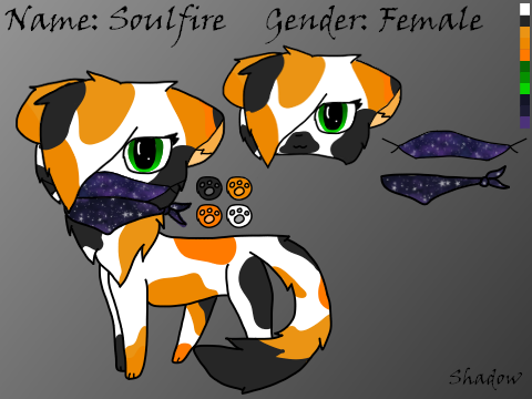 New OC