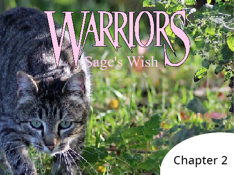 Sage's Wish - Chapter 2