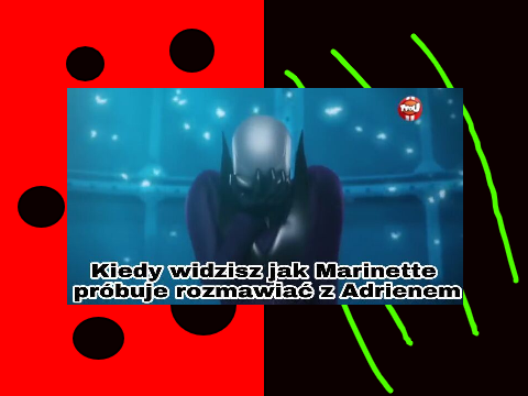 Bidronka i czarny koteł memes