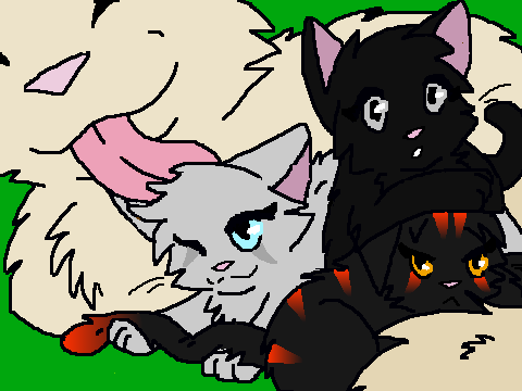 Ivystream & kits (3/4)