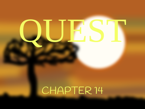 Quest || Chapter 14