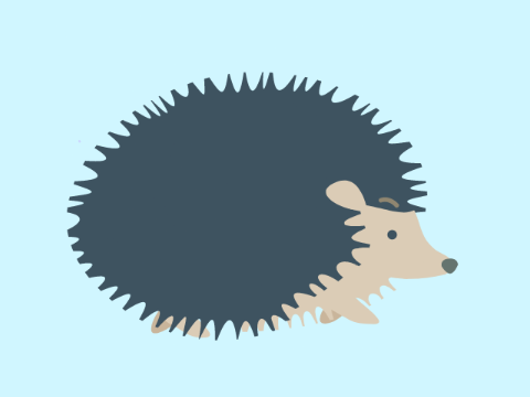 Hedgehog Animation