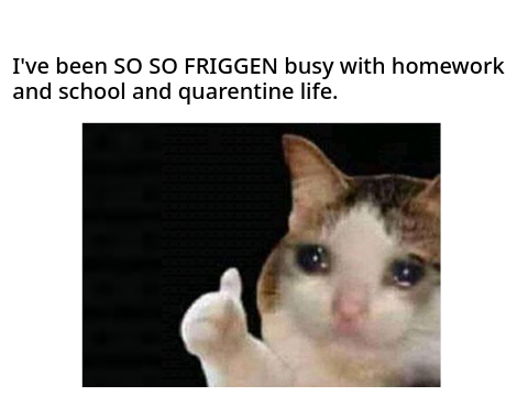 Sorry i haven't been active!