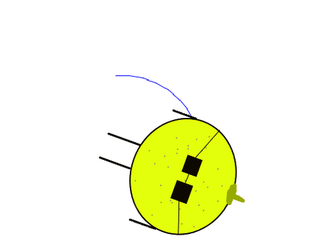 mr orange
