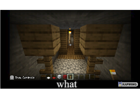 Minecraft Memes (the Wait what meme)