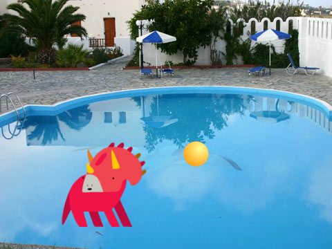 My brain when we go to the pool