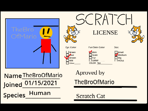 Make Your Own Scratch Licence 