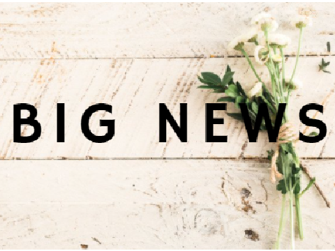 ✰BIG NEWS (voice reveal)✰