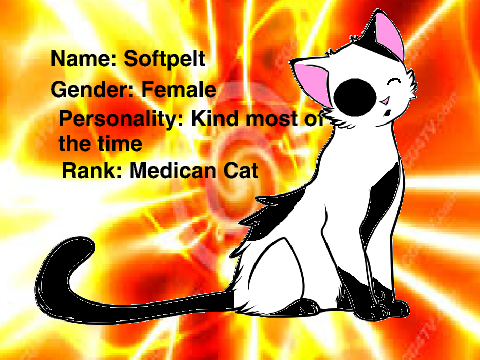 Warrior Cat: Softpelt