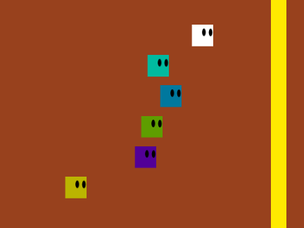 The Race