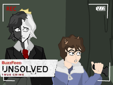 Bee N Boo Unsolved (dsmp) 