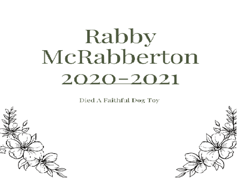 RIP Rabby McRabberton
