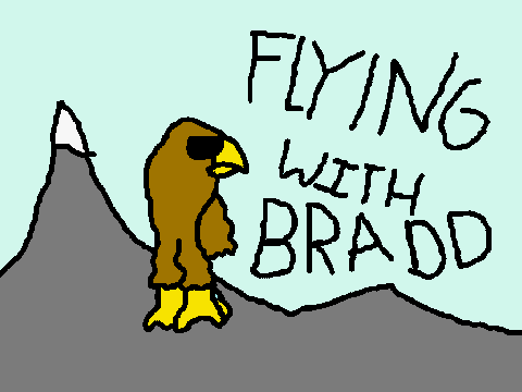 Flying With BRADDDDDDD