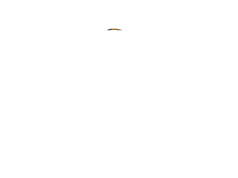 text editor