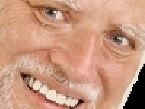 Le PP