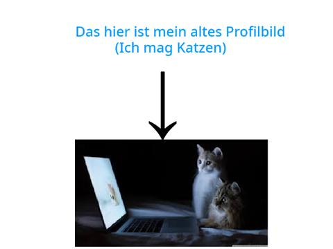 Was wird Sockes Profilbild?