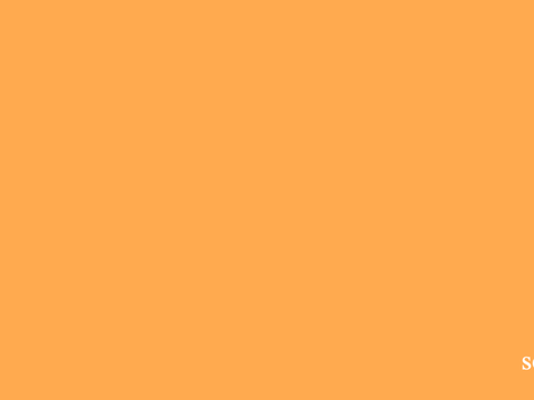 Bruno is orange || UNFINSHED AND CRAPPY || TPN