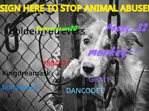 SIGN HERE TO STOP ANIMAL ABUSE!  remix remix remix remix remix remix remix remix remix