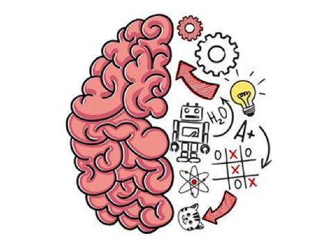 Brain test scratch