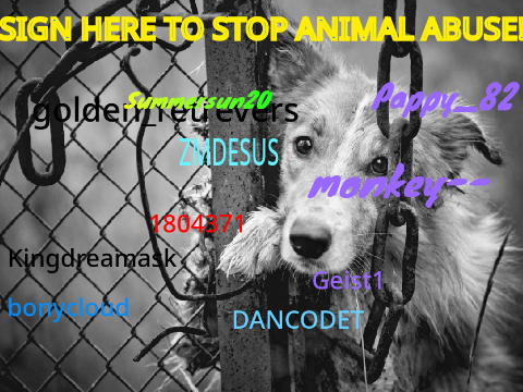 SIGN HERE TO STOP ANIMAL ABUSE!  remix remix remix remix remix remix remix remix remix remix remix