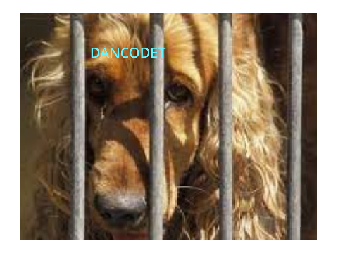 STOP ANIMAL ABUSE sign if you hate animal abuse