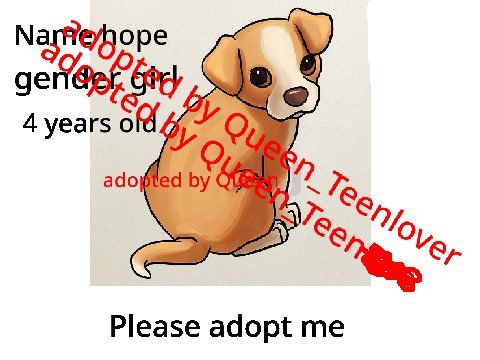 adoption center