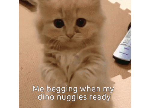 Dino Nuggies