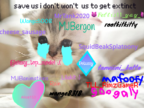 Sign if you hate animal cruelty remix remix remix remix remix remix remix remix remix