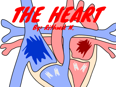 Heart Project Product