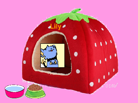 home (candydragon99)