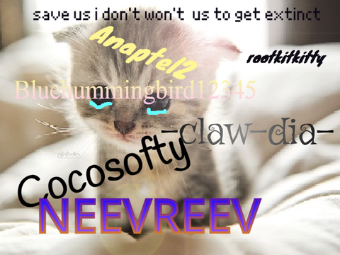sign if you hate animal cruelty remix remix remix remix remix
