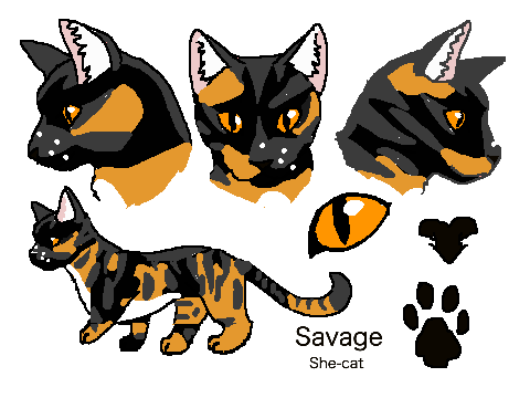 Savage and Kiara reference MIS