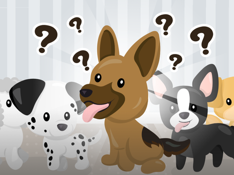 Puppy Personality Quiz 