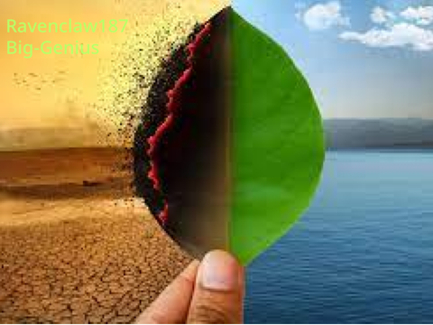 Sign if You Want to Stop Climate Change!!! remix
