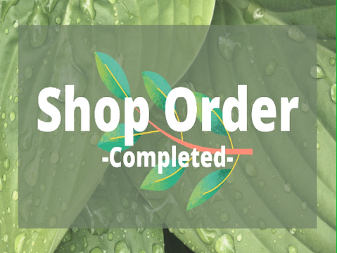 Order For C0mpu1er