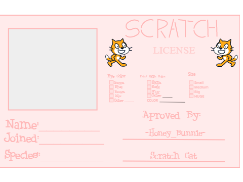 Make Your Own Scratch License remix
