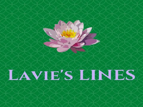 Broken 13 Lines
