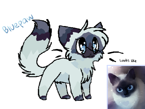 Skyclan signup - remix
